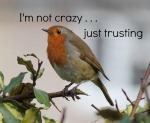 I'm Not Crazy...Just Trusting