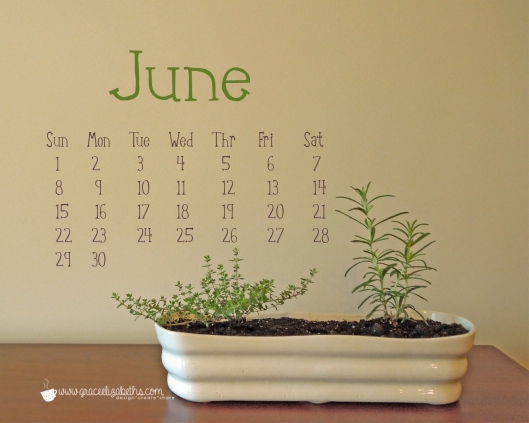Free Download - June Calendar Computer Wallpapper